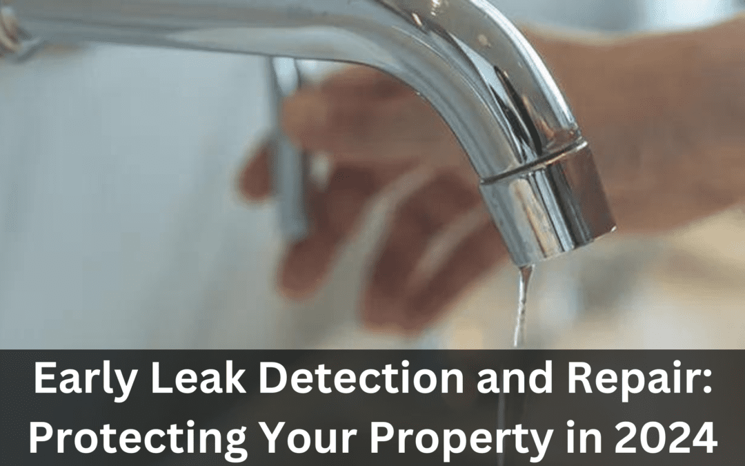 Early Leak Detection and Repair: Protecting Your Property in 2024