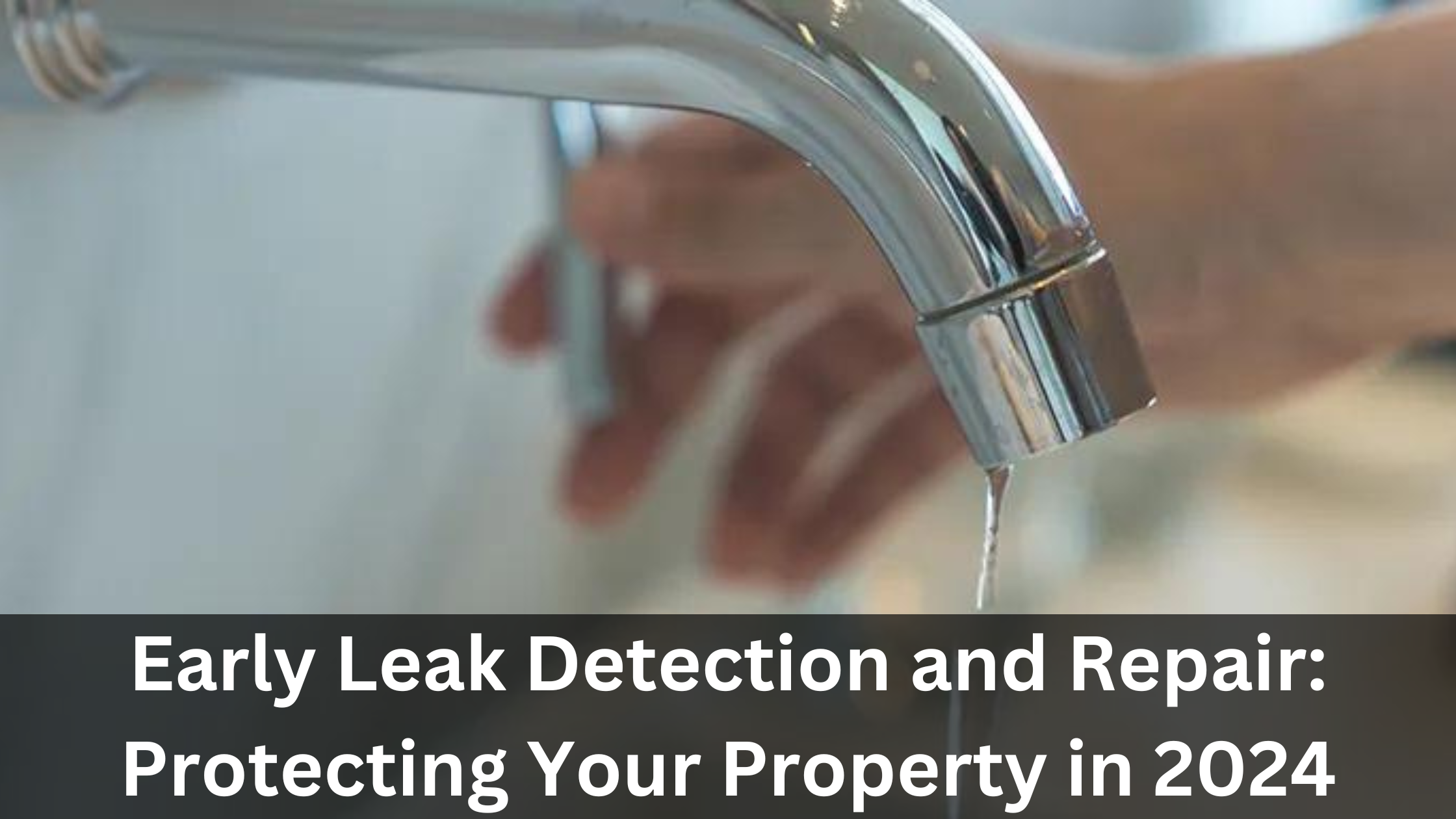 Leak Detection and Repair